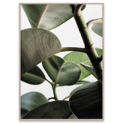 Green Home 03 poster 50x70